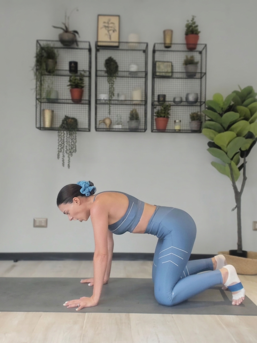 Fitness by Malu Pérez